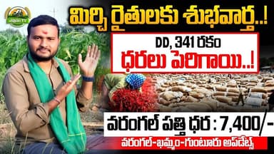 06 JANUARY 2026 WARANGAL,KHAMMAM & GUNTUR MARKET PRICES || DAILY MARKET UPDATES || EVUSAM TV