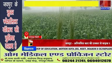 #news सर्दी ने बढ़ाई किसानों की चिंता,रबी फसलों पर पाले का खतरा #news7 #news7rajasthan#gangapurcity