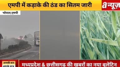 शीतलहर का असर ,घने कोहरे की चादर में लिपटा शहर शीतलहर का असर देखने को मिल रहा है।