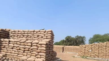 खरसिया: रायगढ़ में धान खरीदी तेज, 48 हजार किसानों से लगभग 3 लाख मीट्रिक टन धान किया गया खरीदा