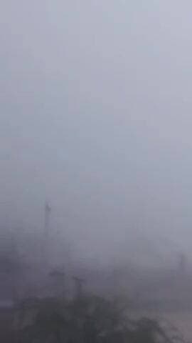 लोहावट: फलोदी जिले के आऊ सहित पूरे उपखंड क्षेत्र में सुबह से घना कोहरा छाया