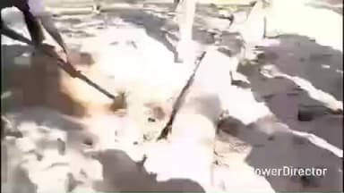 नैनपुर: खटिया थाना क्षेत्र के कन्हा नेशनल पार्क में रेत में दबा मिला महिला का शव