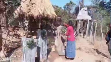 रनियां: डोयगेर टंगरा टोली गांव में आदिवासी समाज ने मनाया दिरी दुल पर्व