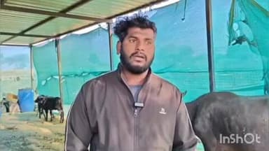 పరిగి: సయ్యద్ మల్కాపూర్ గ్రామంలో 7 గేదెలను దొంగిలించిన గుర్తు తెలియని దుండగులు