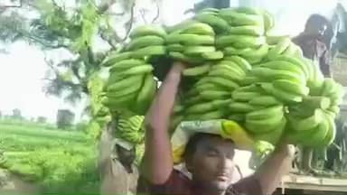 मुक्ताईनगर: स्वातंत्र्य केळी बोर्ड स्थापन करा विधान परिषदेचे आमदार एकनाथ खडसे यांची मुख्यमंत्री आणि कृषी मंत्र्यांकडे मागणी