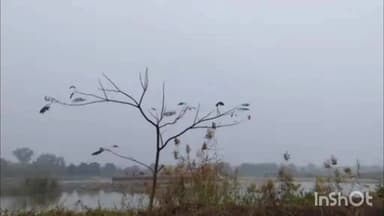 सुजानगढ़: सुजानगढ़ में तापमान 3.5 डिग्री तक पहुंचा, शीतलहर जारी