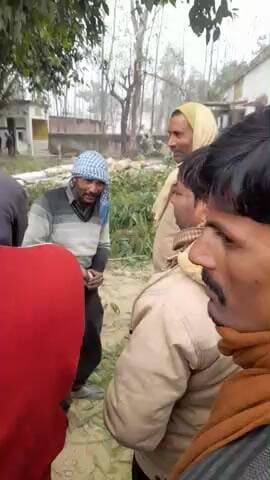 स्कूल मे पेडो की कटाई हो रही है