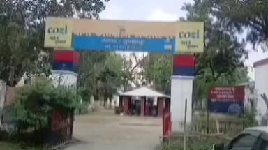 जयसिंहपुर: जयसिंहपुर में पेड़ काटने के विरोध ने बनाया विवाद, महिला के साथ मारपीट का आरोप