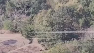 कंडाघाट: कंडाघाट में बारिश की कमी से खेती पर संकट, खेत सूखने लगे, किसानों की चिंता बढ़ी