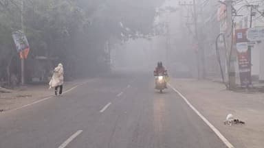 भागलपुर में कड़ाके की ठंड, घने कोहरे से जनजीवन प्रभावित..
#coldweather #bhagalpur #BreakingNews #Bihar #coldday