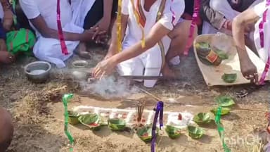 शिकारीपाड़ा: शिकारीपाड़ा में सोहराय मिलन समारोह में दिखी आदिवासी संस्कृति की भव्य झलक, ढोल की थाप पर थिरके सांसद व अधिकारी