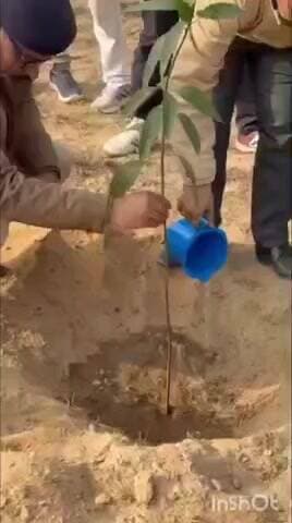 दाउदनगर: दाउदनगर के बालू घाटों पर खनन विभाग ने लगाए 500 से अधिक पौधे, प्रशासनिक पदाधिकारी रहे मौजूद