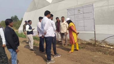 ठीकरी: कलेक्टर ने ग्राम चकेरी में प्रगतिशील किसानों द्वारा की जा रही प्राकृतिक खेती का अवलोकन किया