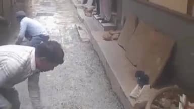 सरिता विहार: बदरपुर विधानसभा क्षेत्र के मोलरबंद वार्ड में गलियों में सड़क का निर्माण कार्य जारी