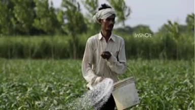 लोणार: बिबी परीसरात युरिया खताची ट्चाई