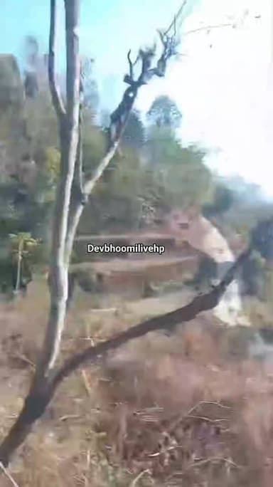 सरी पंचायत में महिलाओं ने भगाये नशेड़ी वीडियो खुब हो रहा वायरल
#reelschallenge #highlight2026 #devbhoomilivehp