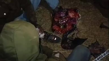 किस्को: लोहरदगा में सड़क हादसों में चार घायल, स्कूटी-बोलेरो और बाइक-ट्रक की टक्कर, पुलिस ने ट्रक जब्त कर जांच शुरू की