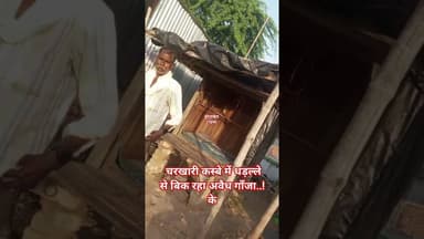 #महोबा - चरखारी कस्बे में धड़ल्ले से बिक रहा अवैध गाँजा, वीडियो वायरल #news #newstoday #mahobapolice