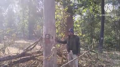 पोड़ी उपरोड़ा: जटगा में कूप कटाई का जमकर हो रहा विरोध, ग्रामीणों ने किया प्रदर्शन