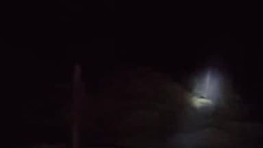 जैतहरी: जैतहरी क्षेत्र में तीन हाथियों का विचरण, ग्रामीणों से सतर्क रहने की अपील की गई