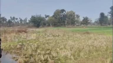 खरगापुर: ग्राम गररौली में सुजारा बांध की नहर में लीकेज से किसान परेशान, कई एकड़ भूमि पर नहीं हो पा रही खेती