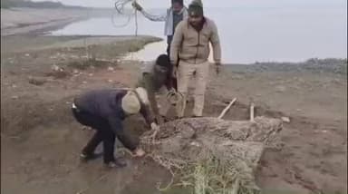 नौगढ़: वन विभाग ने मगरमच्छ को पकड़कर सुरक्षित तरीके से नौगढ़ चंद्रप्रभा डैम में छोड़ा, वीडियो सोशल मीडिया पर हुआ वायरल