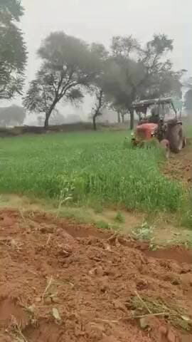 सिकराय: हिंगवा गांव में 3.80 हेक्टेयर सरकारी भूमि से हटाया गया अवैध कब्जा, अतिक्रमियों ने की थी गेहूं-सरसों की बुवाई