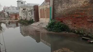 ਖੰਨਾ: ਗੁਰੂ ਨਾਨਕ ਨਗਰ ਦੀ ਹਕੀਕਤ ਸਾਹਮਣੇ ਆਈ ਵਾਰਡ ਨੰਬਰ 13 ਅਤੇ 14 ਵਿੱਚ ਗਲੀਆ ਵਿੱਚ ਖੜਾ ਗੰਦਾ ਪਾਣੀ ਲੋਕ ਪ੍ਰੇਸ਼ਾਨ