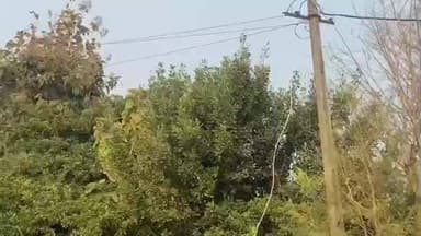 માંડવી: વીજ જોડાણની પ્રકિ્રયામાં સુધારો: જમીનના સહ-માલિકોની સંમતિ મેળવવાની ફરજિયાત શરત રદ