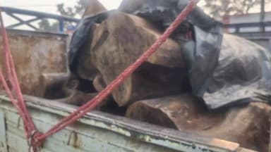 तोरपा: बुरजु से जीवरी जाने वाली सड़क पर पिकअप वाहन से 6 बोटा ज़ब्त