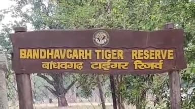 मानपुर: बाँधवगढ़ टाइगर रिजर्व के उपसंचालक प्रकाश कुमार वर्मा का स्थानांतरण, योहन कटारा बने नए उपसंचालक