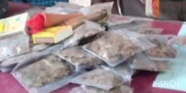 खुसरूपुर: खुसरूपुर पुलिस ने 500 ग्राम गांजे के साथ दो धंधेबाजों को किया गिरफ्तार