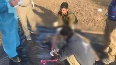 मानपुर: बांधवगढ़ टाइगर रिजर्व में संदिग्ध परिस्थितियों में मिला बाघ शावक का शव, इलाके की सर्चिंग में जुटी टीम