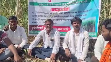घनसावंगी: घनसावंगी येथील उसाच्या शेतात शेतकऱ्याचं बेमुदत आमरण उपोषण: एफ आर पी रक्कम एकरकमी देण्याची मागणी