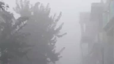 सेमरिया: रीवा में कड़ाके की ठंड का सितम, पारा 4.2 डिग्री तक लुढ़का, 'जेट स्ट्रीम' ने बढ़ाई ठिठुरन