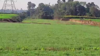 तरारी: पीढ़ियों की जमीन, चंद रुपयों का मोल—शिविर में छलक पड़े किसानों के जज़्बात, जमीन गई, भरोसा टूटा—शिविर से मायूस लौटे रैयत