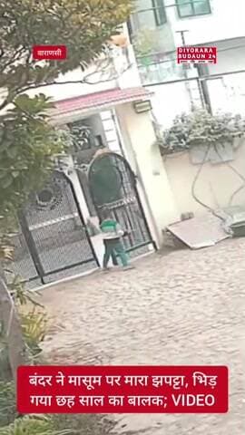 बंदर ने मासूम पर मारा झपट्टा, भिड़ गया छह साल का बालक; VIDEO #viral #monkey #varanasi