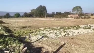 विजयराघवगढ़: विजयराघवगढ़ में अवैध प्लॉटिंग का खेल, कृषि भूमि पर कच्ची सड़क डालकर प्लॉट काटे जा रहे