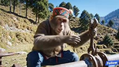 हिमाचल सरकार युवाओं को 5000 का वेतन दे रही है। #hightlight