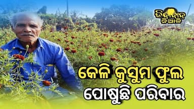 Niali : କେଳି କୁସୁମ ଫୁଲ ପୋଷୁଛି ପରିବାର l ଫୁଲ ଚାଷ କରି ଲକ୍ଷାଧିକ ଟଙ୍କା ରୋଜଗାର କରୁଛନ୍ତି ଚାଷୀ ଶରତ ନାୟକ