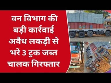 वनविभाग का मिडनाइट एक्शन अवैध लकड़ी से भरे 3 ट्रक जब्त चालको में मचा हड़कंप टीम ने घेराबंदी कर दबोचा