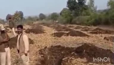 चाचौड़ा: चाचौड़ा विधानसभा के मकसूदनगढ़ में वन विभाग ने 10 हेक्टेयर वन भूमि से अतिक्रमण हटाया