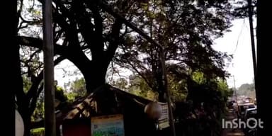 दापोली: अतिक्रमण मुक्त करण्याची दापोली नगरपंचायतीची तयारी