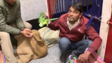 पश्चिम बंगाल से #वाराणसी के बीच ट्रेन में सफर कर रहे मोहम्मद जाहिद के पास से पुलिस ने 400 जंगली तोते बरामद किए है. जाहिद...