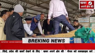 मोहन बड़ोदिया कृषि उपज मंडी में सोयाबीन और गेहूं की रही आवक, सोयाबीन उच्चतम ₹5200 तक बिका #मंडी_न्यूज़