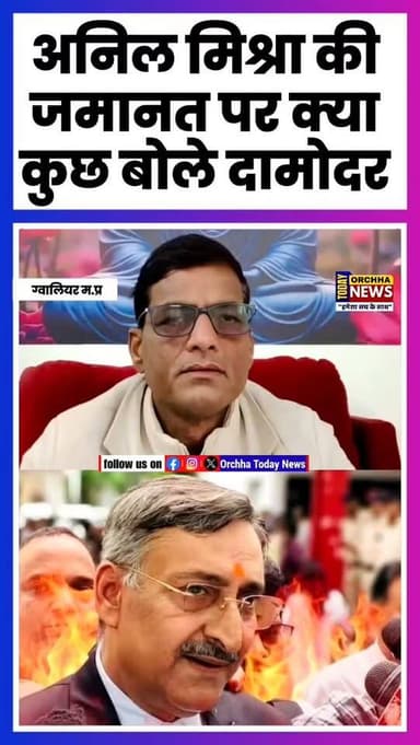 ग्वालियर : एड. अनिल मिश्रा की जमानत होने पर क्या कुछ बोले दामोदर सिंह यादव सुने.......
#gwalior #Reel #damodarsinghyada...