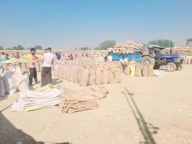 लैलूंगा: रायगढ़ जिले में धान उठाव फिर से तेज़, प्रबंधकों और किसानों में खुशी का माहौल