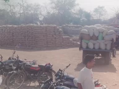 लैलूंगा: रायगढ़ जिले में धान उठाव फिर से तेज़, प्रबंधकों और किसानों में खुशी का माहौल