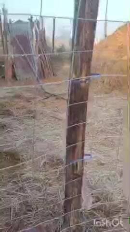 ଜି ଉଦୟଗିରି: ଜି ଉଦୟଗିରି ରେ ଆଜି ହେଲା ତୁଷାର ପାତ,ତାପମାତ୍ରା 2.5 ଡିଗ୍ରୀ ଥିବା ପାଣିପାଗ ବିଭାଗ ପକ୍ଷରୁ ସୂଚନା