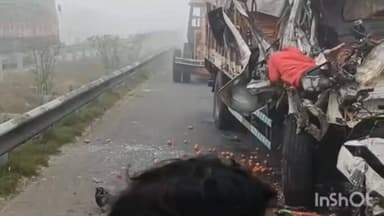 नावानगर: महाराष्ट्र से टमाटर लेकर कटिहार जा रहे ट्रक चालक और खलासी की कड़सर के पास सड़क दुर्घटना में मौत